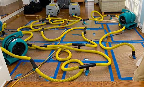 Professional Emergency Water Removal technician working in Santa Clara, UT